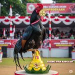 Sabung Ayam Main Bijak